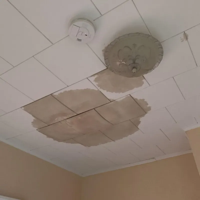 Ceiling Water Damage Repair in Carrboro, NC