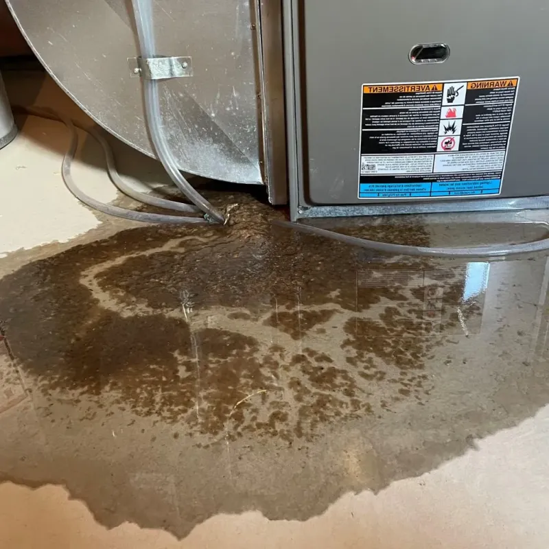 Pipe Burst and Leak Restoration in Carrboro, NC