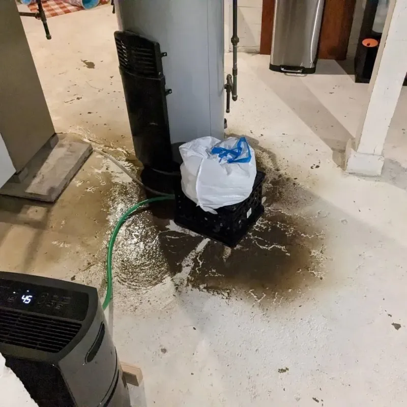 Sewage Backup Cleanup Service in Carrboro, NC